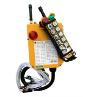 Remote and Receiver with 2 Remotes 12V