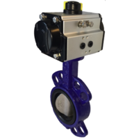 Spring Return Butterfly Valve with Actuator (Single Acting) - 4 inch