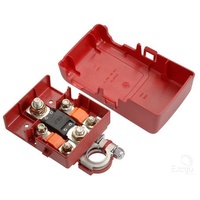 Fused battery terminal - positive