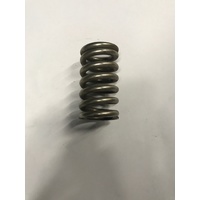 Body mounting spring 5.5x3.5x60