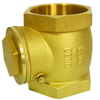 Check Valve - 2 inch