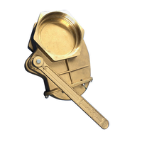 Brass Lever Gate Valve BSP - 4 inch