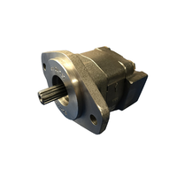 Hydraulic Pump SAE B - 13T Spline