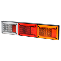 Long Tail Lights