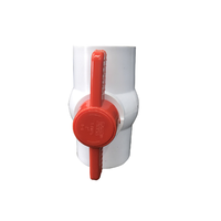 Ball Valve PVC 2 Inch