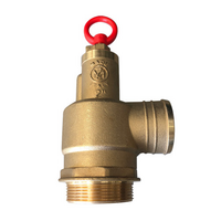 Pressure Relief Valve 2 1/2 inch (Safety Valve) - V20101002