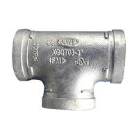 Galvanised/Stainless Steel Fittings